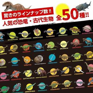 恐竜・古代生物Tシャツ　カブトガニ　サイズ120（キッズ・ユニセックス）