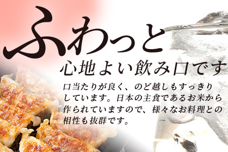 メガボトル！ 球磨焼酎【米一石】4L エコペット 25度 米焼酎 蔵元直送 4リットル パーティサイズ TWSC金賞 酒 米 米焼酎 純米 焼酎 受賞歴 大容量 熊本 球磨 球磨焼酎 多良木町 040-0585