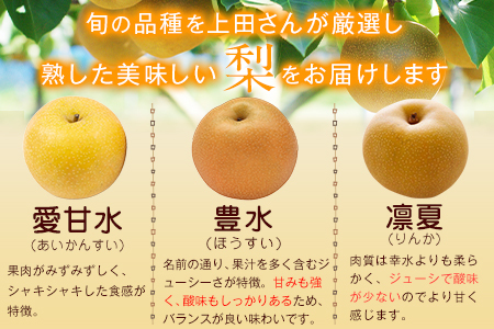 上田果樹園の元祖！玉東梨(旬の品種をお届けします)約3kg(4玉-10玉)  《7月下旬-9月下旬出荷頃》 熊本県玉名郡玉東町 ｜ブランド梨 人気梨 特産品梨 熊本県梨 玉東町梨 大人気返礼品