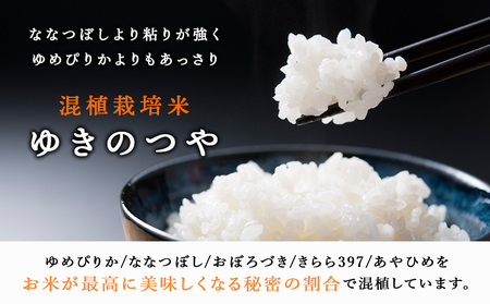 北斗米ゆきのつや30kg（5kg×6袋） お米 北海道米 北海道産お米 ふるさと納税米 お米 道産米