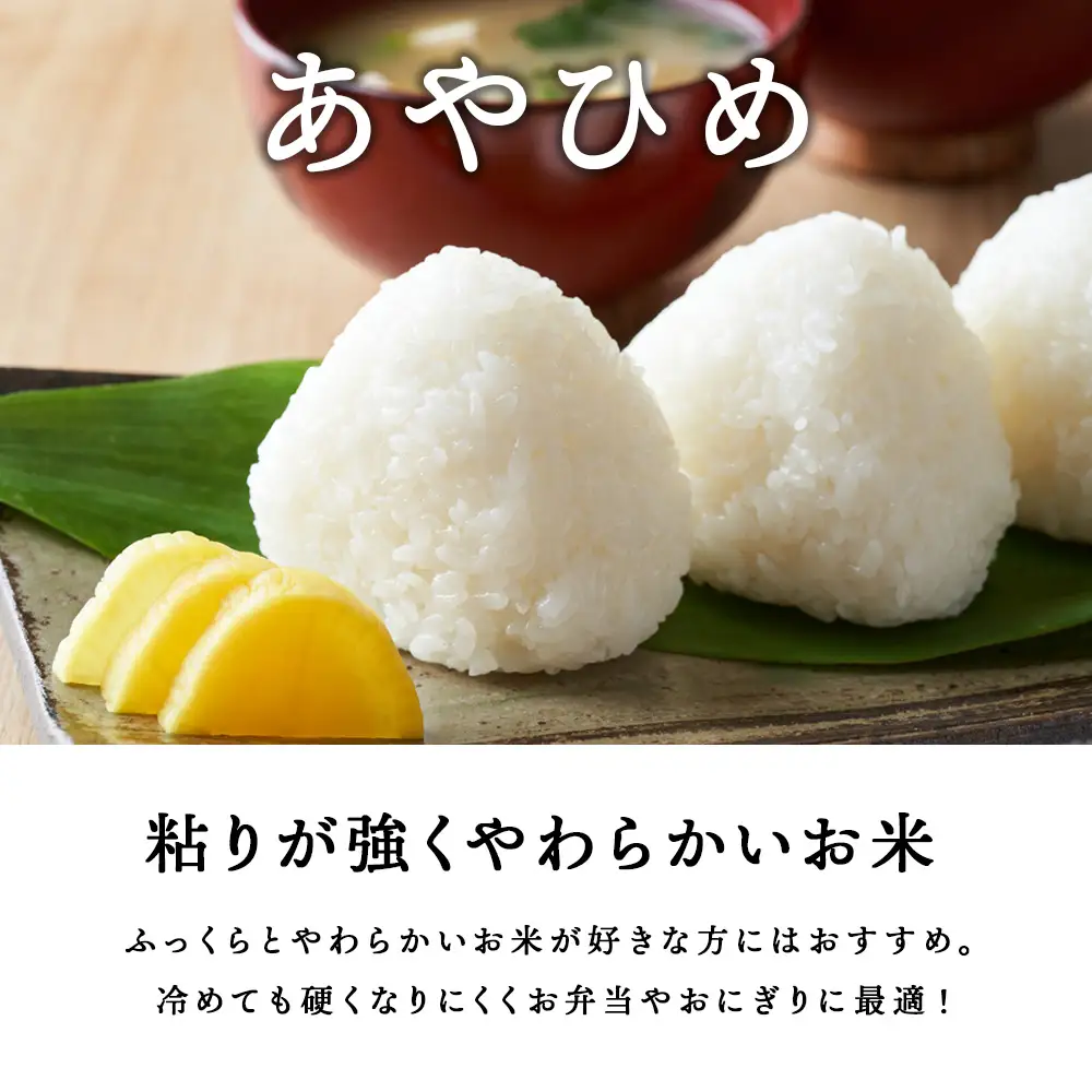 北斗米あやひめ20kg（5kg×4袋）
