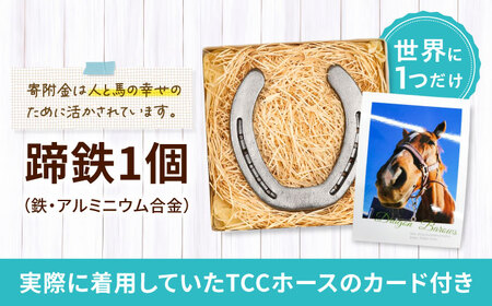 TCCホースシュー 世界に一つだけの蹄鉄 BIAV003 競馬 競馬グッズ