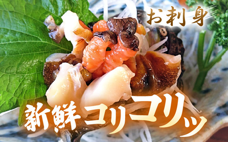 【先行予約】天然 活サザエ 合計約700g (6～10個) 若狭湾 素潜り さざえ【2026年6月中旬以降順次発送予定】 [m17-a047]