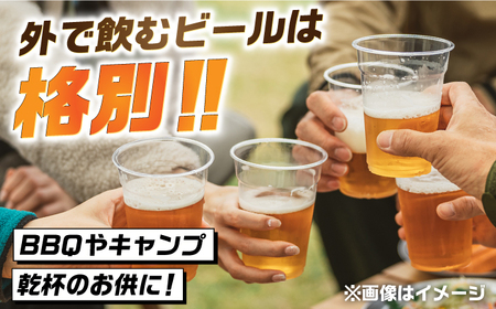 【全6回定期便】吉野ヶ里町産クラフトビール GAME BREW CONTINUE?/コンティニュー 350ml×6本セット 計36本 吉野ヶ里町/西研グラフィックス[FDG003]