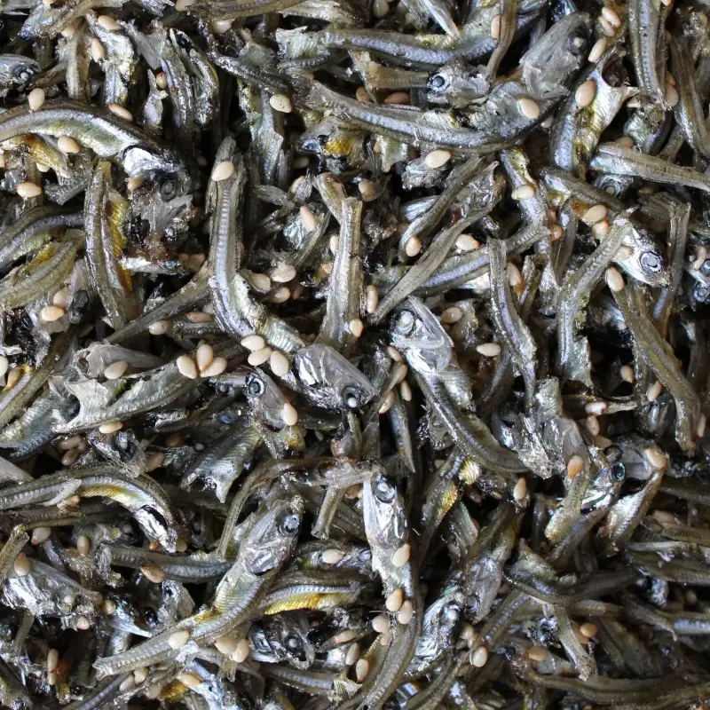 じゃこの佃煮　300g / じゃこ おかず ご飯のお供 佃煮 冷蔵 お取り寄せ 和歌山県 田辺市 【has007】