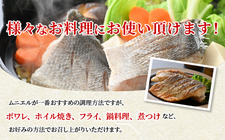 若狭湾の朝獲れ 天然 スズキ 約1kg (約250g×4パック) 下処理済!生冷凍!だから人気!【 魚介類 切り身 白身 】[m17-a071]