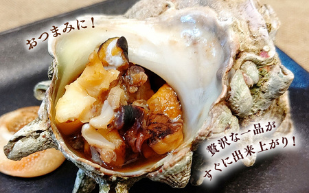 天然 サザエ ボイル済み 約14～18個 約800g (400g×2P)  若狭湾の素潜り さざえ   [m17-a051]