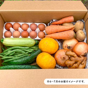 7月発送　農薬・化学肥料を持たない農家の野菜（7～10種類）と 平飼有精卵のセット mi0036-0017-07 野菜
