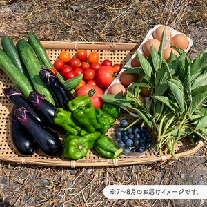 8月発送　農薬・化学肥料を持たない農家の野菜（7～10種類）と 平飼有精卵のセット mi0036-0017-08 野菜