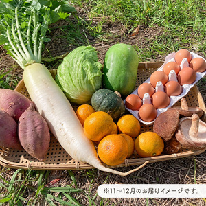 12月発送　農薬・化学肥料を持たない農家の野菜（7～10種類）と 平飼有精卵のセット mi0036-0017-12 野菜