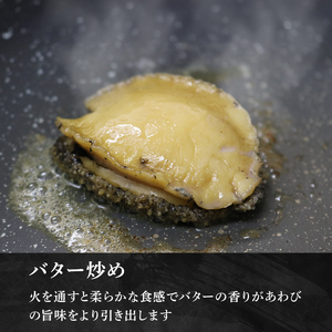 あわび 刺身用１パック 冷凍 ＼ あわび ／