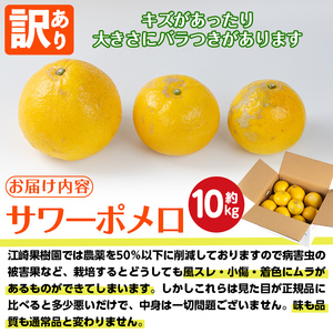 i917 ＜2026年3月上旬～5月下旬の間に発送予定＞＜訳あり＞サワーポメロ(約10kg) 柑橘 サワーポメロ 鹿児島県 国産 果物 フルーツ みかん 文旦 ボンタン 訳あり 【江崎果樹園】