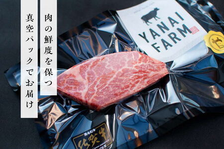 《佐賀牛》「梁井」希少部位 ヒレステーキ 3枚 600g K081034
