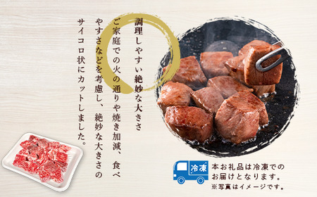 厳選高級部位牛ヒレ肉サイコロステーキ500g ヒレ肉