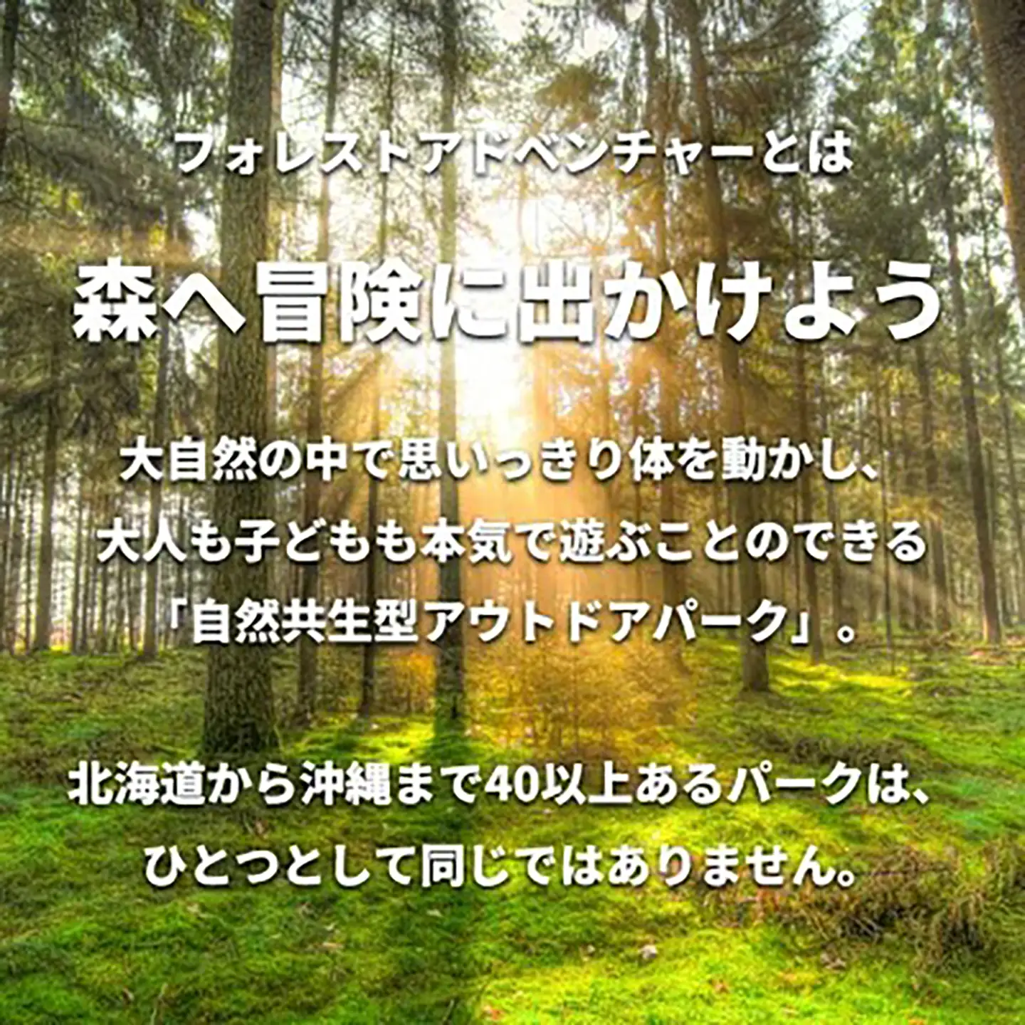 フォレストアドベンチャー・つくば＜キャノピーコース＞3名様体験チケット │ 体験チケット
