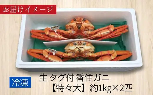 《先行予約》 香住ガニ 活〆 タグ付き 特々大 約1.0kg×2匹（合計約2.0kg以上）冷凍【令和9年2月中旬以降発送予定】紅ズワイガニ かに カニ 07-114
