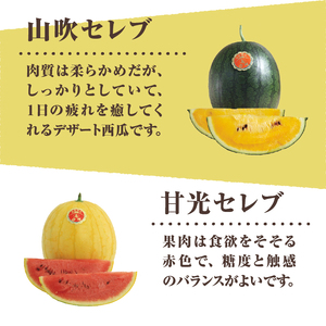 【2026年先行予約】北杜市白州産すいか「すいかばか！」のこだわりの特選すいか セレブシリーズと名水甲羅の中から2玉セット [h047]
