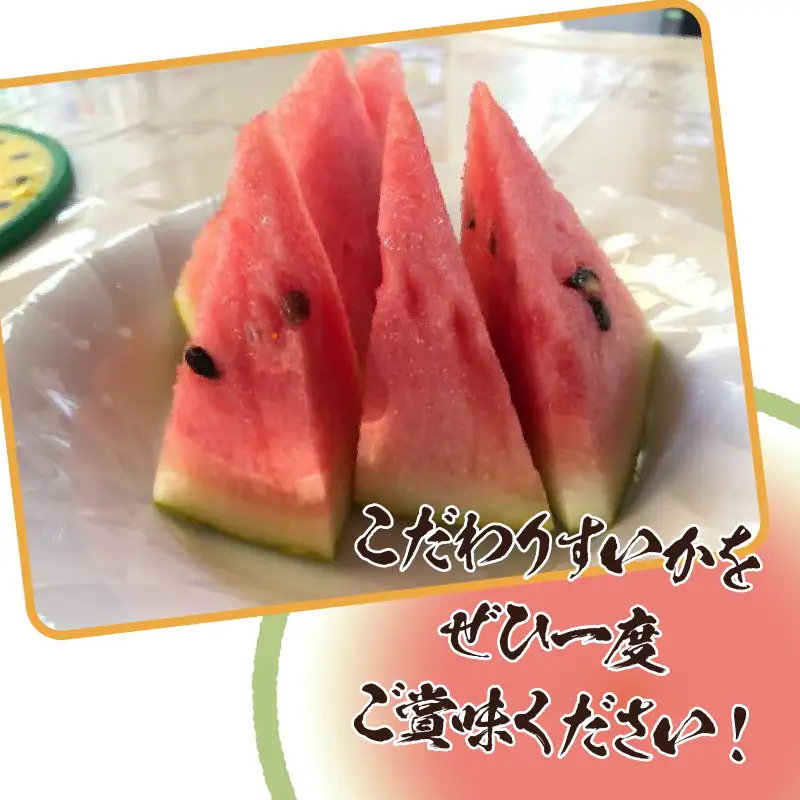 【2026年先行予約】北杜市白州産すいか「すいかばか！」のこだわりの特選すいか セレブシリーズと名水甲羅の中から1玉 [h047]