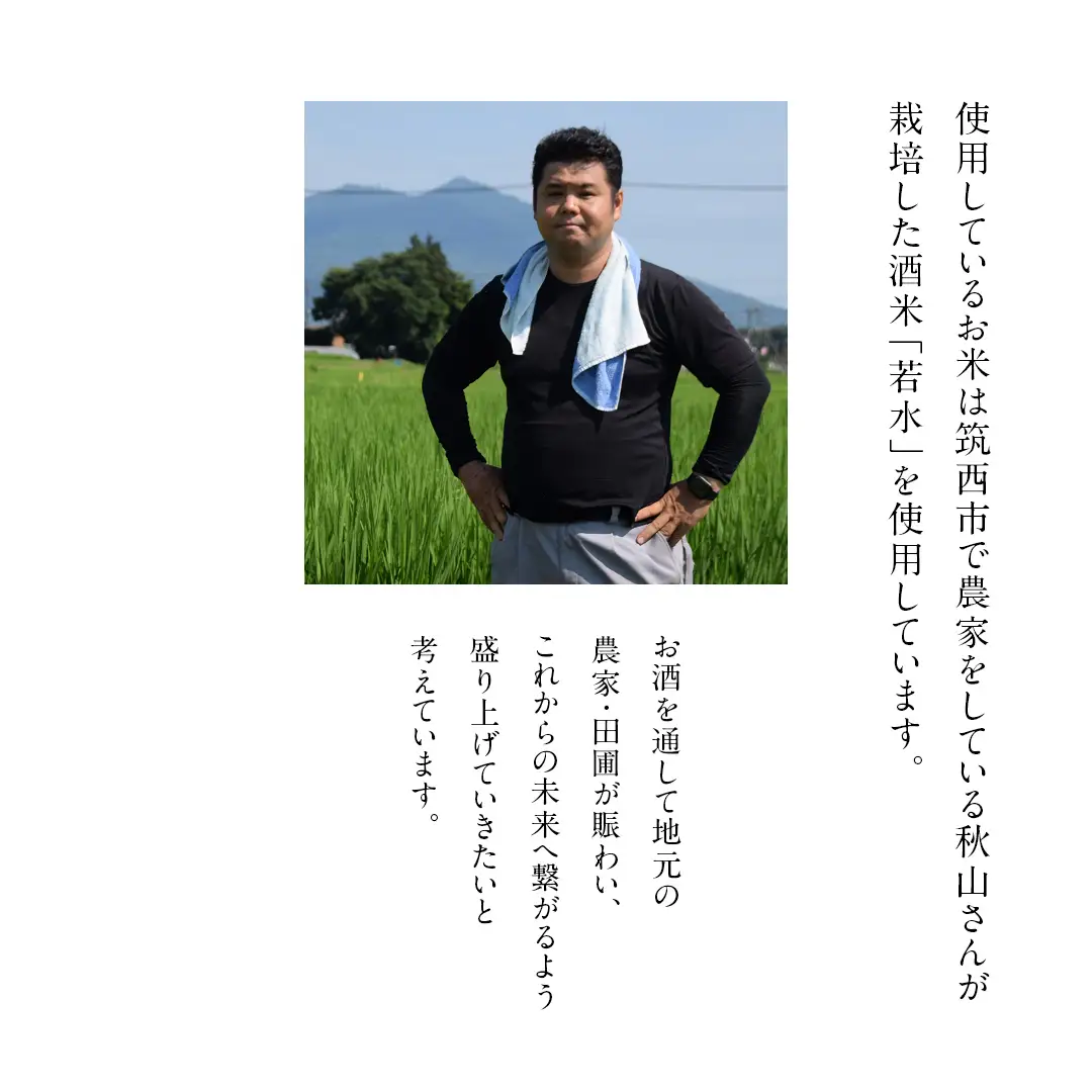 真壁 MAKABE 直汲生 500ml 地酒 純米吟醸 生酒 日本酒 米 村井醸造 国産 乳酸菌 お酒 フレッシュ 芳醇 [ET001sa]