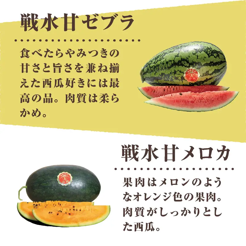 【2026年先行予約】北杜市白州産すいか「すいかばか！」のこだわりの特選すいか 戦水甘シリーズと名水甲羅の中から2玉セット [h047]