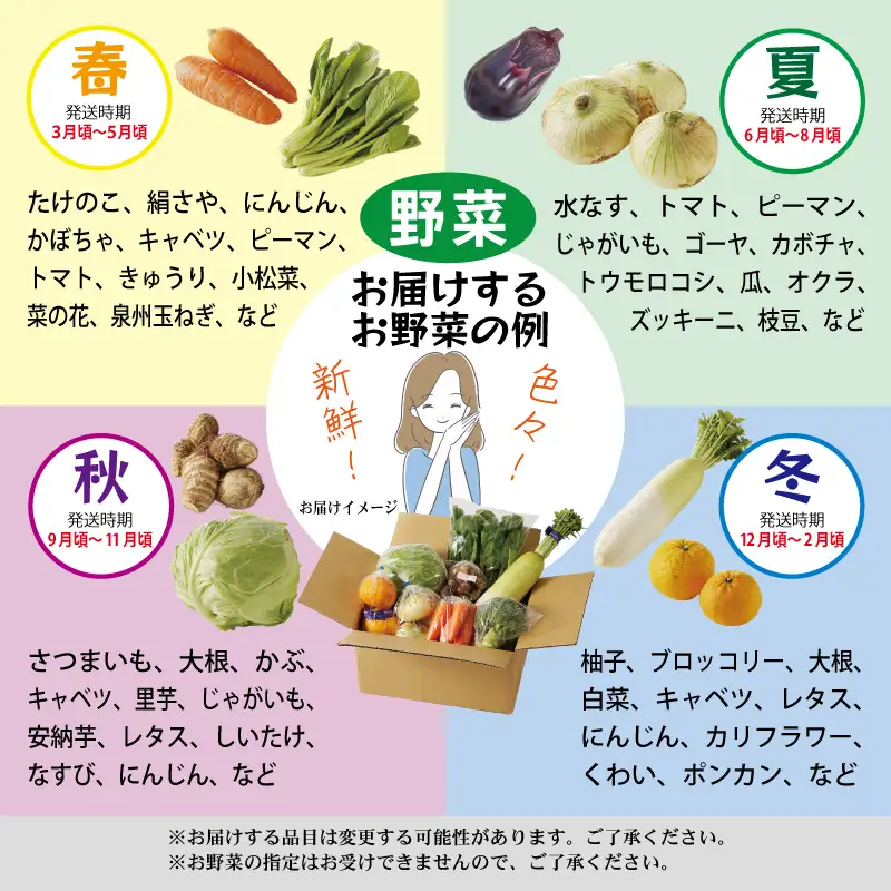 099S015 主婦が選んだ 普段使いにおすすめセット（銀鮭 切り身 たまご 野菜）