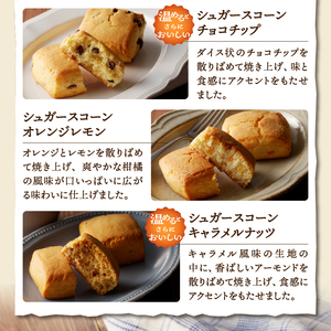 【シャトレーゼ】 ビスキュイワッフル＆シュガースコーン詰め合わせ〈9個入〉