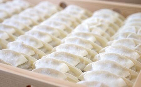 にんにく餃子110個(22個入×5袋) 惣菜 冷凍餃子 中華 夕飯 夜ごはん おかず お酒のあて おつまみ ビールのおつまみ 