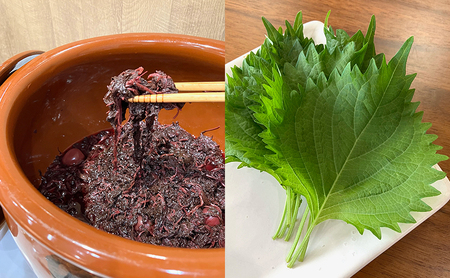 にんにく餃子(22個入り×2袋)と梅しそ餃子(22個入り×2袋)のセット 惣菜 冷凍餃子 中華 夕飯 夜ごはん おかず 食べ比べ おつまみ ビールのおつまみ 