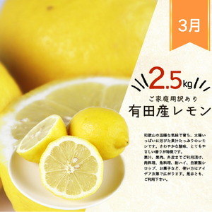 G60-T81_【定期便 全3回】紀州和歌山産 旬のご家庭用 柑橘セット（みかん・不知火・レモン）
