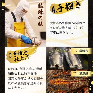 桜林養鰻のうなぎ蒲焼 計200g以上(100g以上×2尾) 鰻 うなぎ ウナギ うなぎ  蒲焼き かばやき 国産 九州産 鹿児島県産 冷凍 真空パック 簡単 うな丼 うな重 ひつまぶし 惣菜 おかず a3-195