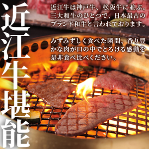 近江牛 食べ比べ 定期便 6ヶ月 焼肉 すき焼き 盛り合わせ 冷凍 近江牛近江牛近江牛近江牛近江牛