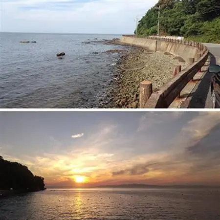 山と海 自然豊かな 岬町 3点セット(1、2、4) にんにく加工食品_惣菜・加工品   _【1256187】