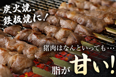 猪肉 焼肉セット約900gバラ 肩ロース 串焼き 詰め合わせ 猪肉 