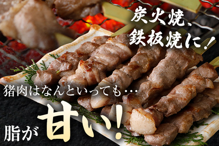 猪肉串焼き用 約900g（約300g×3）ジビエ 猪 いのしし 串 焼肉 焼き肉 アウトドア BBQ みやこ肉 獣 キャンプ イノシシ肉 炭火焼き 鉄板焼き おつまみ お酒 肴