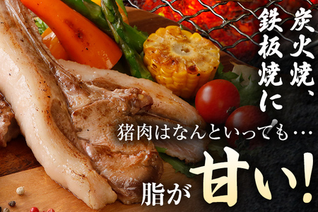 猪肉スペアリブ 約900g（約300g×3）ジビエ 猪 いのしし 骨付き 焼肉 焼き肉 アウトドア BBQ みやこ肉 獣 キャンプ イノシシ肉 炭火焼き 鉄板焼き 煮込み グリル