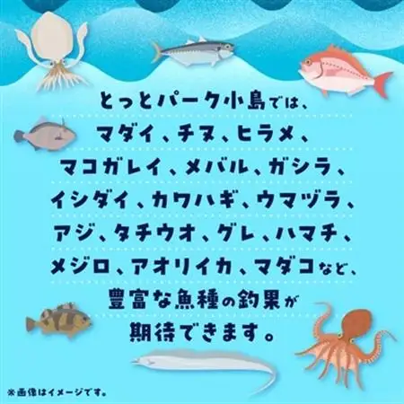 岬町海釣り公園・とっとパーク小島利用券【ファミリーセット】_旅行券・チケット  入場券・優待券 _【1267400】