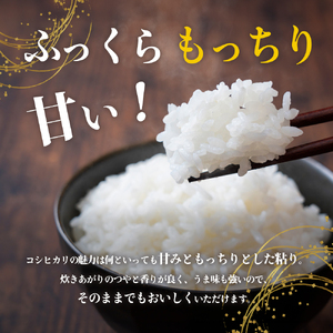 【 小豆島 】小豆島 滝宮で獲れたふっくらつやつや 小豆島産 コシヒカリ 2kg×3袋 こしひかり お米 米 白米 精米 もっちり 甘み 6kg 香川 香川県 土庄 土庄町