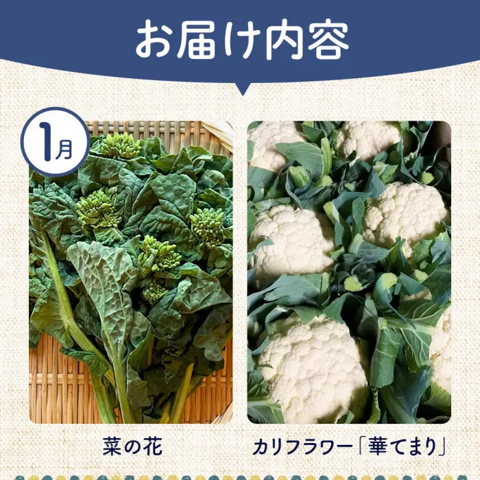 【12ヶ月定期便】野菜 くだもの 米（月替わりで毎月お届け）