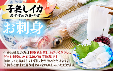 【先行予約】旬真っ盛りの 天然 ヤリイカ 約1kg（約15尾）とれたて冷凍便 丸焼き丸かぶり！【2026年3月下旬以降順次発送予定】福井 イカ いか ケンサキイカ [m21-b013]