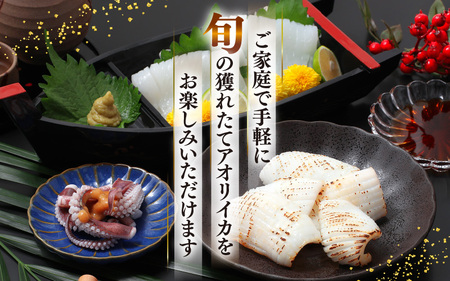【先行予約】 新鮮で便利！旬の 天然 アオリイカ 刺身用 開き 5枚 約800g 【2026年10月下旬以降順次発送予定】  あおりいか アオリイカ 刺身  [m21-b014]