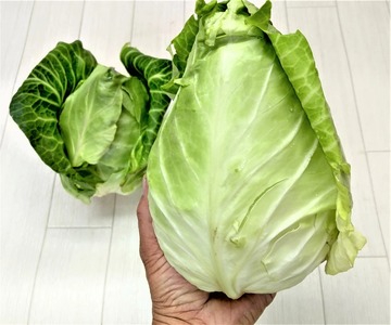 旬の野菜 詰め合わせセット 5品種 ( お楽しみ 産地直送 農家直送 季節 旬 おまかせ 春 夏 秋 冬 やさい サラダ 新鮮 玉ねぎ 人参 じゃがいも ピーマン 大根 なす キャベツ 等 豊浦町 川棚 下関 山口 ) FW003
