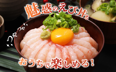 新鮮美味！甘エビ(船凍甘エビ 中サイズ)約500g おいしいたまり醤油付 甘えび [m21-a038]