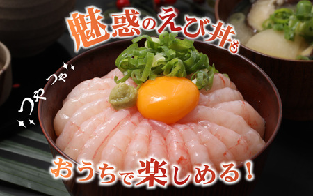 新鮮美味！ 甘エビ(船凍甘エビ 大サイズ)約500g おいしいたまり醤油付 甘えび [m21-a036]