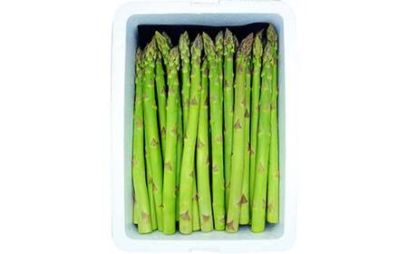 《先行予約 2026年度発送》山形の極太アスパラガス 約2kg（2Lサイズ） FSY-1265