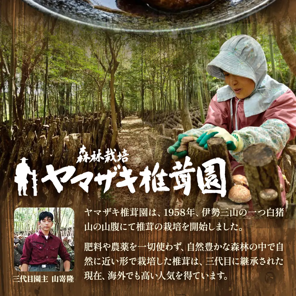 乾燥しいたけ 特撰・伊勢どんこ 椎茸 野菜 250g 