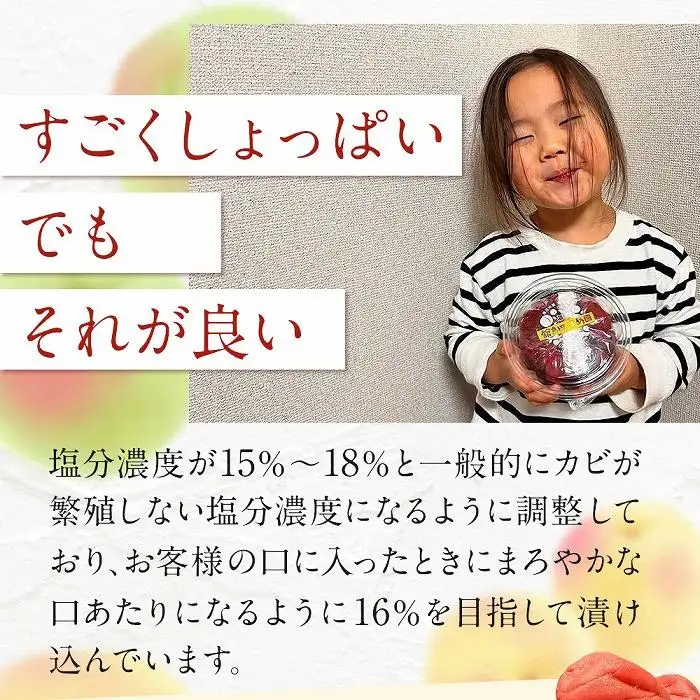 宮城県角田産【無添加】 まごころ 手作り 梅干し (270g)×2個｜梅干し すっぱい 