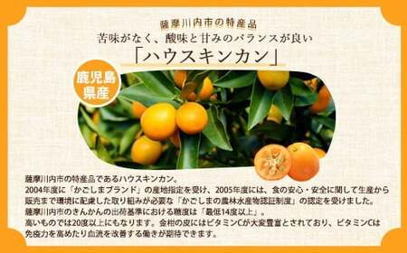 AS-159 金柑チョコフィナンシェ 計20本（4本入り×5箱）