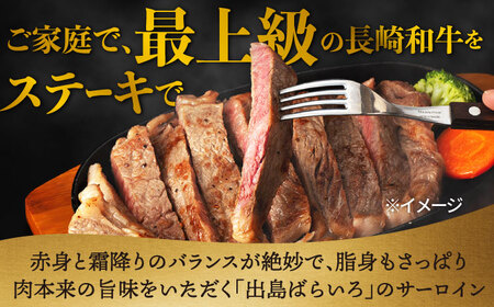 【3回定期便】ヒレ・サーロイン ステーキ2種食べ比べセット 長崎和牛 （400g/回） 【肉のマルシン】 [FG43]