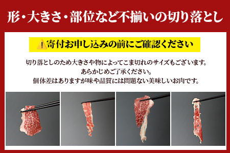 【定期便3回】熊本あか牛 切り落とし 計3Kg (500g×2)×3回 国産 牛肉 冷凍 熊本 熊本県産 あか牛 赤牛 切り落とし 041-0137