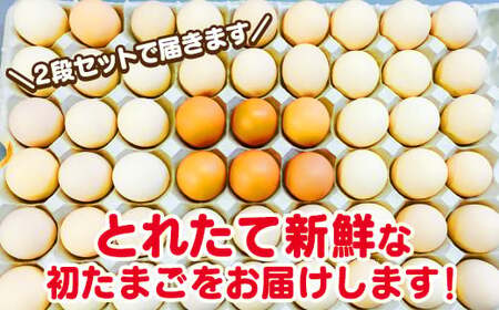 農林水産大臣賞受賞！ひまわりたまご 紅白セット（40〜45個）※破卵補償10個含（冷蔵） 卵 鶏卵 玉子 最短